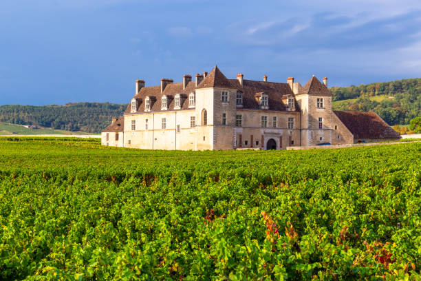 chateau clos vougeot